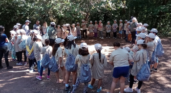 Educação ambiental nas escolas forma jovens cientistas